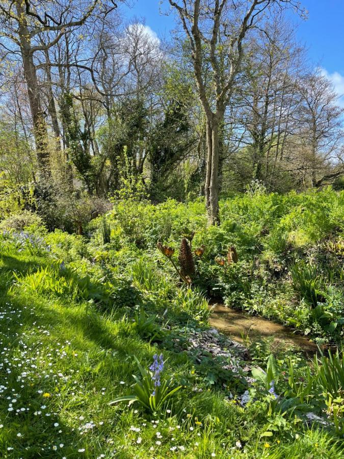 Beech Hut - A Streamside Family Escape Near Salcombe And Beaches South Milton Εξωτερικό φωτογραφία